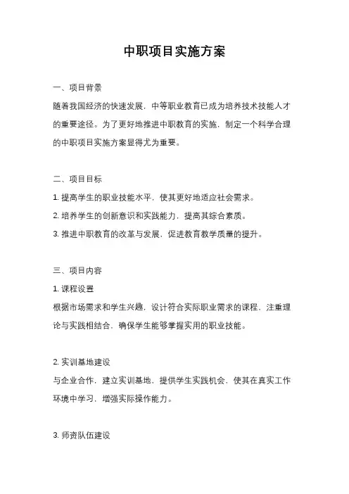 中职项目实施方案