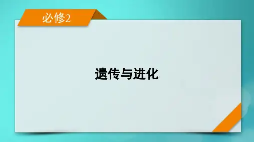 高考生物一轮总复习必修2遗传与进化第7单元生物的变异育种与进化第3讲生物的进化课件