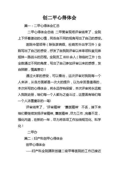 创二甲心得体会