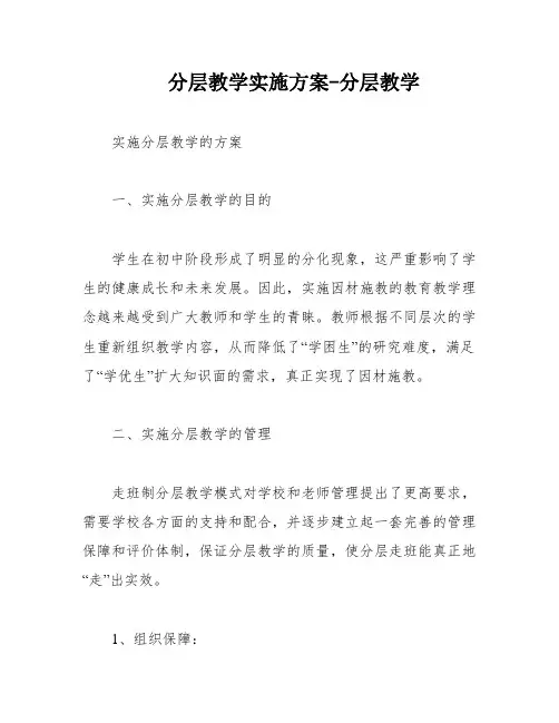 分层教学实施方案-分层教学