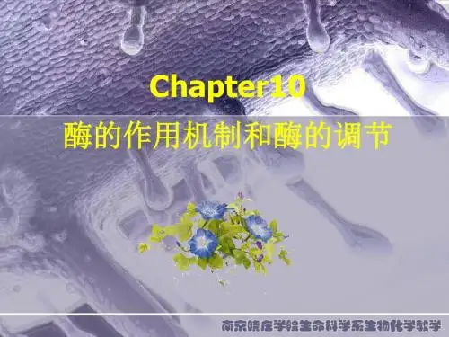 生物化学 第10章 酶作用机制和酶调节-精品文档