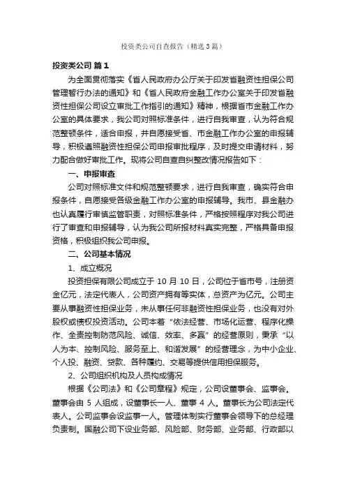 投资类公司自查报告（精选3篇）