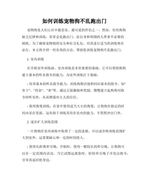 如何训练宠物狗不乱跑出门