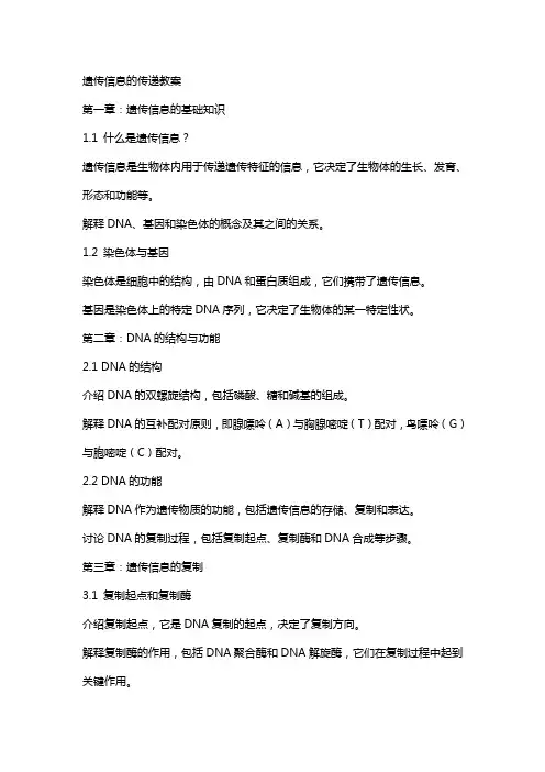 遗传信息的传递教案