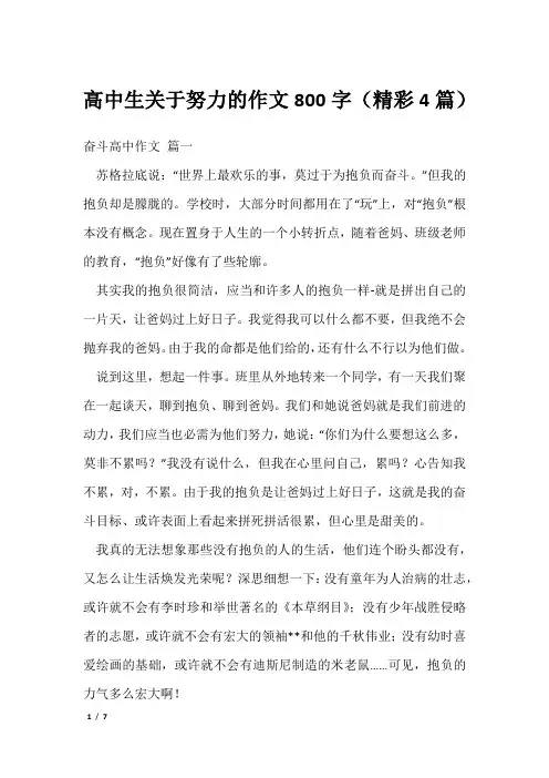 高中生关于努力的作文800字(精彩4篇)