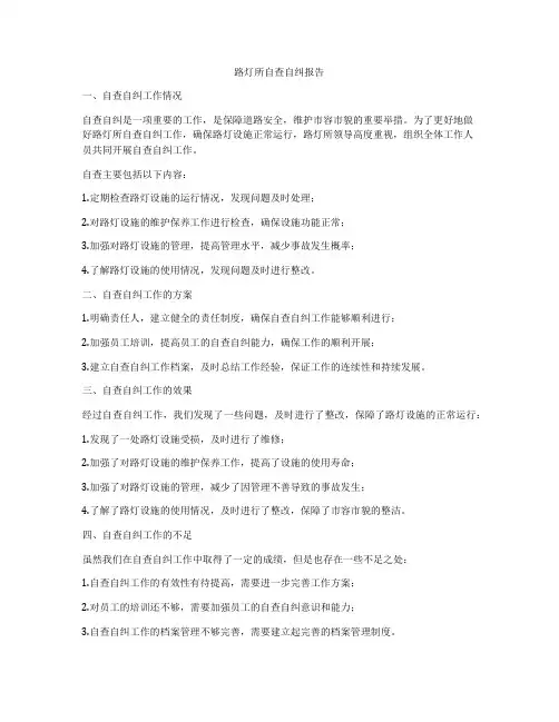 路灯所自查自纠报告