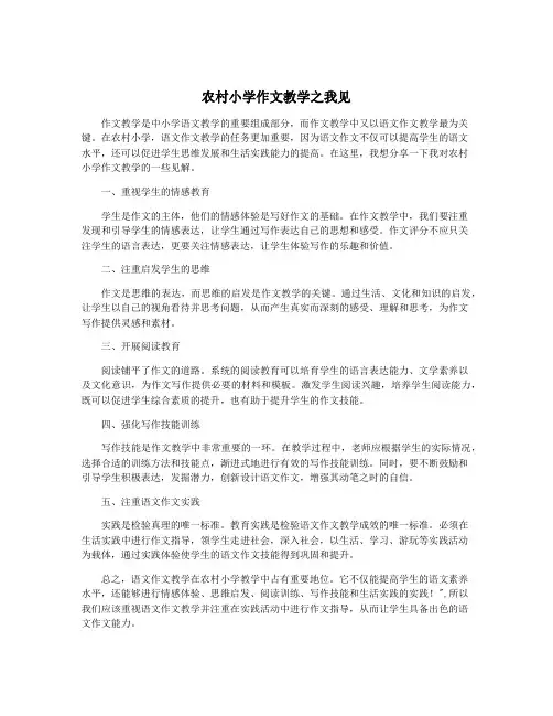 农村小学作文教学之我见