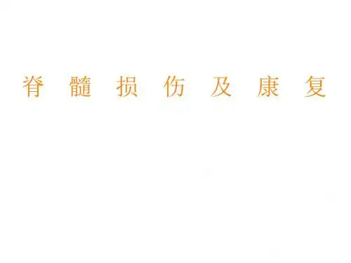 脊髓损伤及康复PPT课件