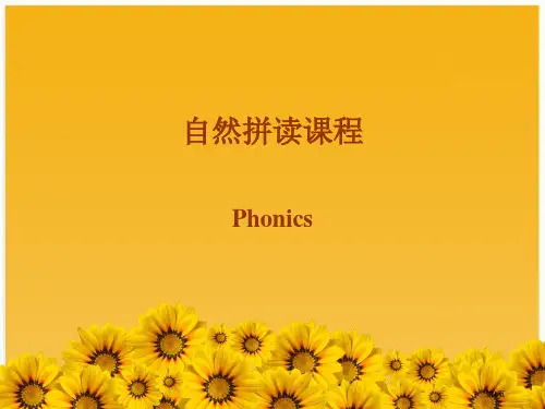 自然拼读全-册公开课一等奖优质课大赛微课获奖课件