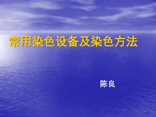 常用的染色设备和染色方法.pptx