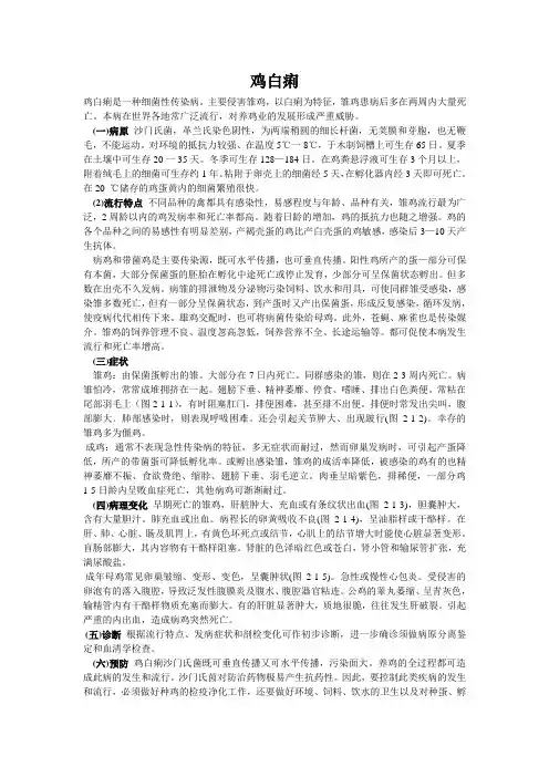 鸡白痢
