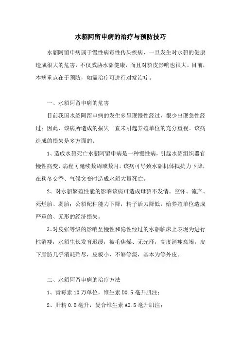 水貂阿留申病的治疗与预防技巧