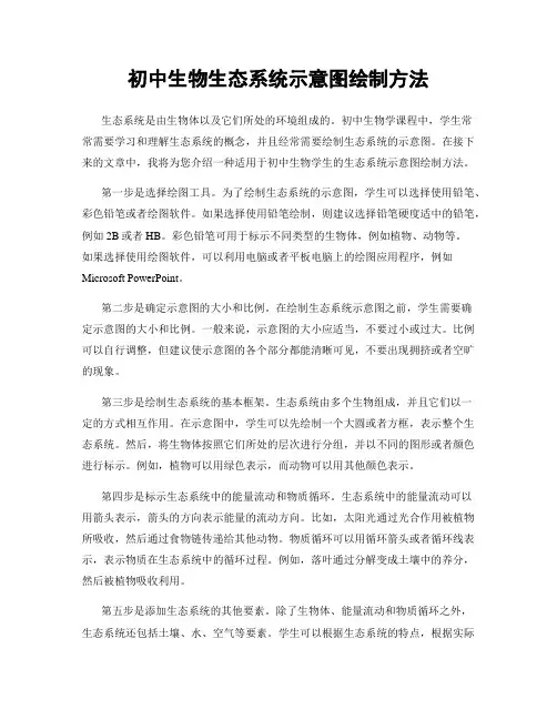 初中生物生态系统示意图绘制方法