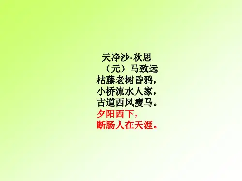 六年级语文《天净沙 秋思》课件
