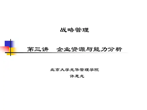 企业资源与能力分析