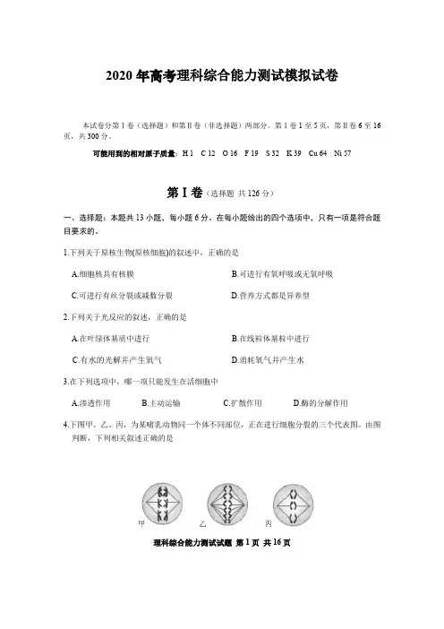 2020年高考理科综合能力测试模拟试卷(word,含答案)