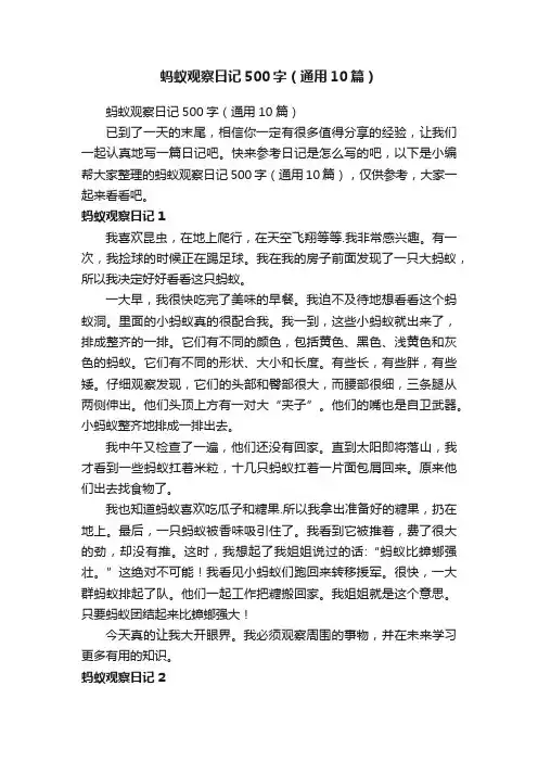蚂蚁观察日记500字（通用10篇）