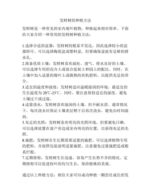 发财树的种植方法