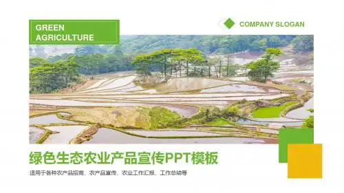 简约风绿色生态农业宣传PPT模板