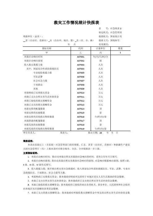 救灾工作情况统计快报表2020版