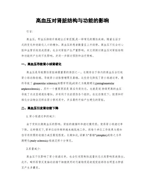 高血压对肾脏结构与功能的影响