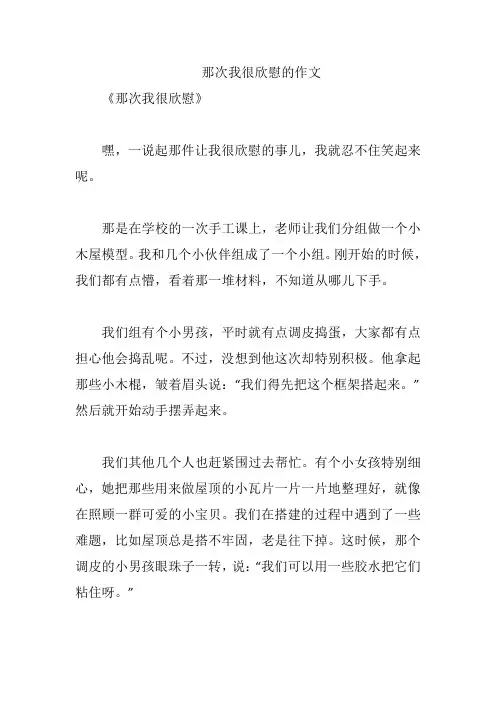 那次我很欣慰的作文