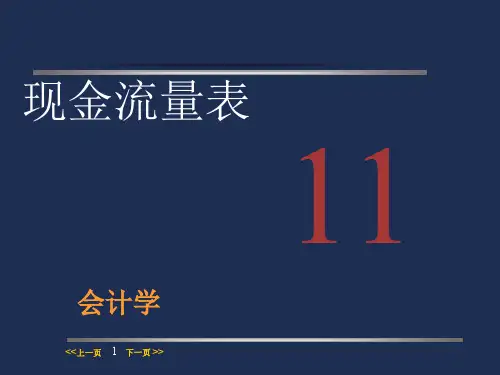 现金流量表(PPT90页)