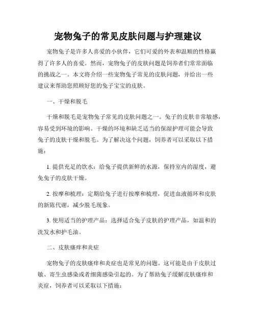 宠物兔子的常见皮肤问题与护理建议
