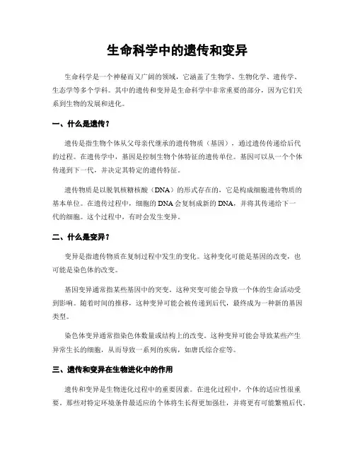 生命科学中的遗传和变异