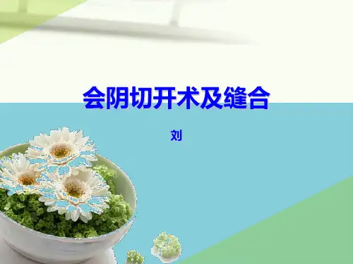 【正式版】会阴切开术及缝合幻灯片PPT资料