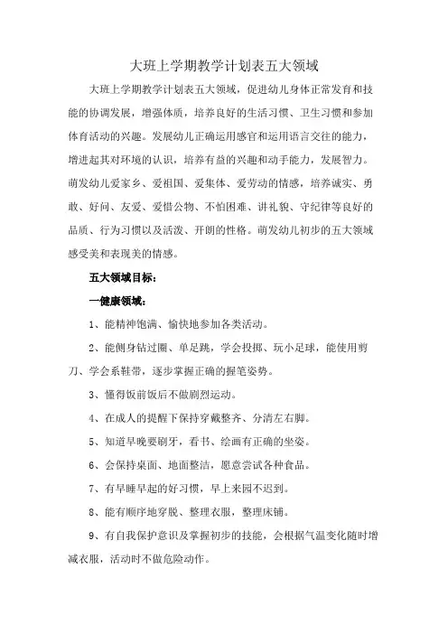 大班上学期教学计划表五大领域