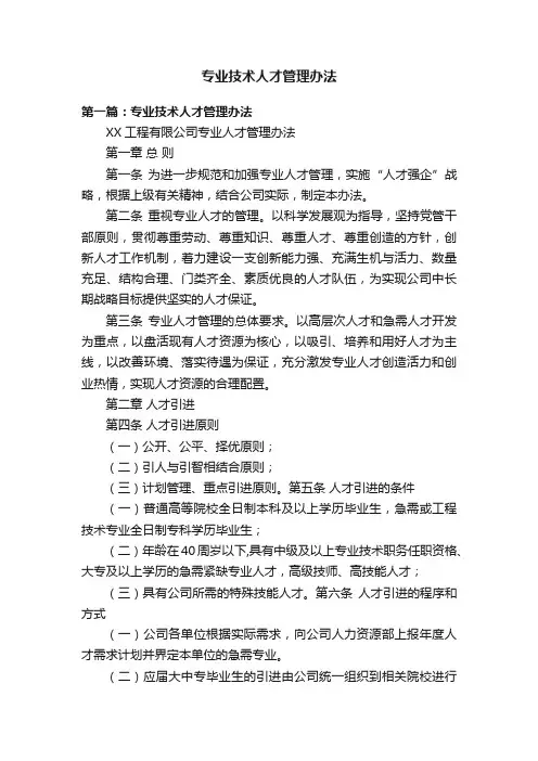 专业技术人才管理办法