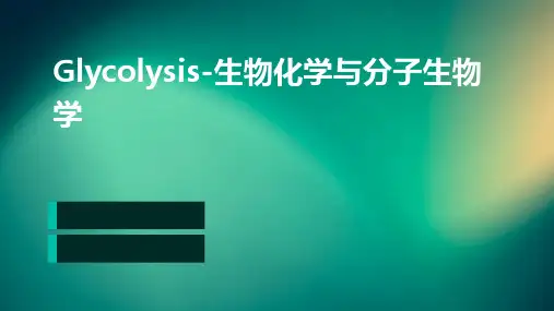 glycolsis-生物化学与分子生物学
