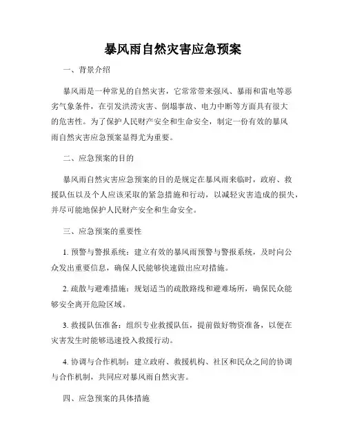 暴风雨自然灾害应急预案