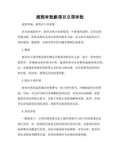 流程审批新项目立项审批