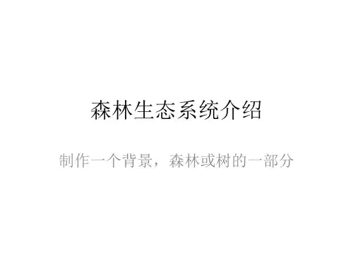 森林生态系统介绍