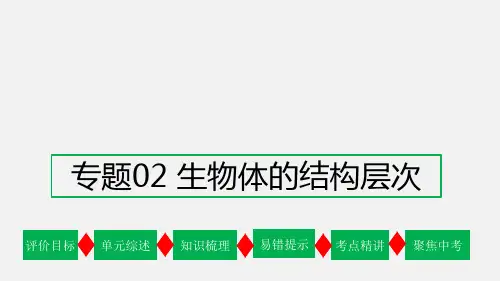 专题02 生物体的结构层次【复习课件】2023年中考生物一轮复习(通用版)