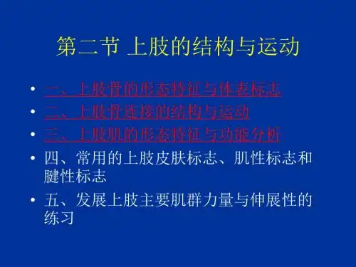 运动系统-上肢的结构与运动ppt课件