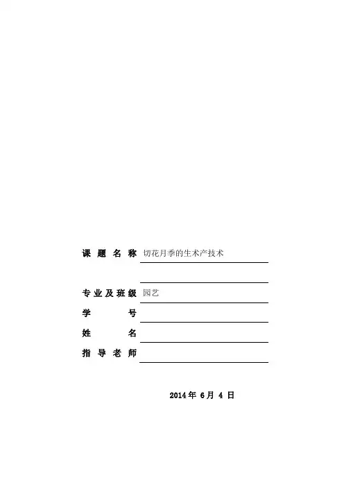 切花月季的生产技术