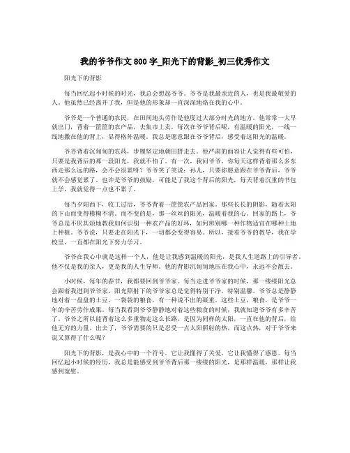 我的爷爷作文800字_阳光下的背影_初三优秀作文