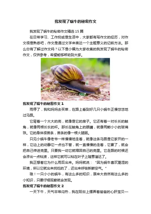 我发现了蜗牛的秘密作文