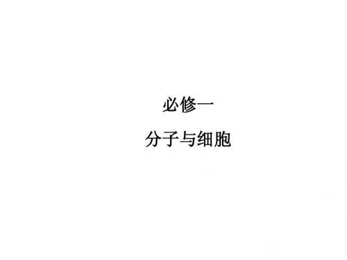 2013届高三一轮复习课件1-3-1
