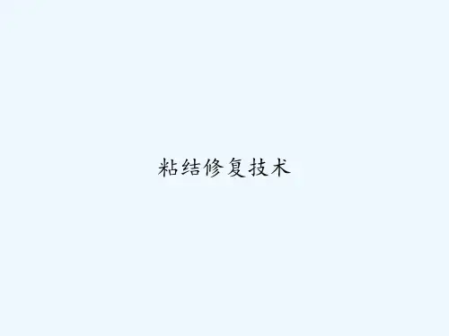 粘结修复技术 PPT