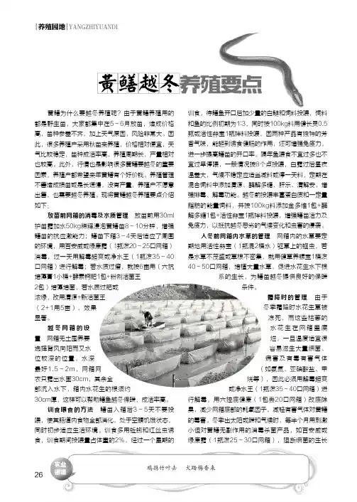黄鳝越冬养殖要点