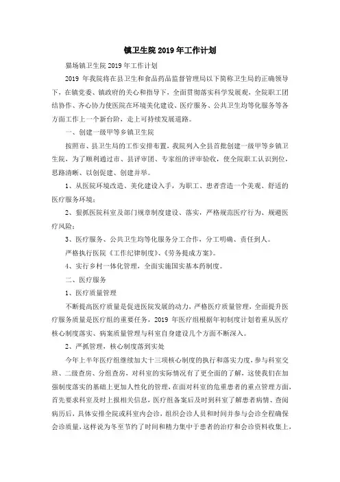 工作总结-镇卫生院2019年工作计划 精品