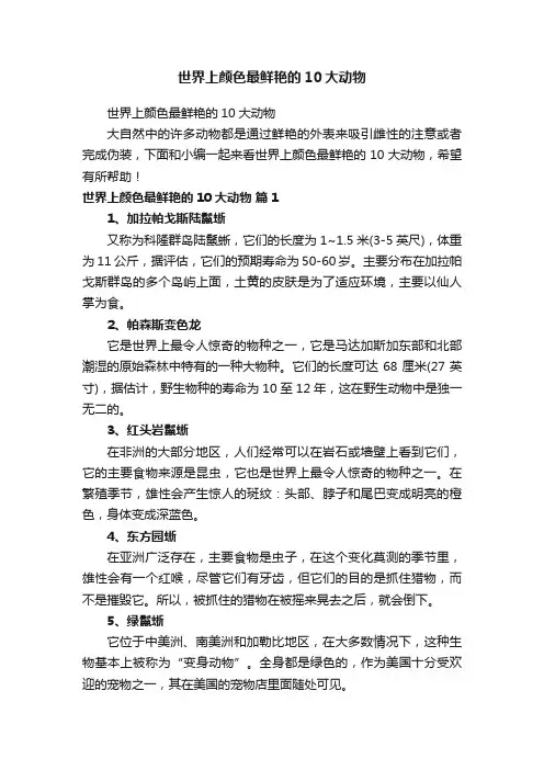 世界上颜色最鲜艳的10大动物