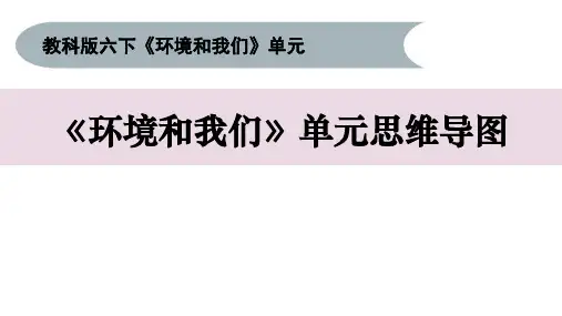 24 《环境和我们》单元思维导图-PPT