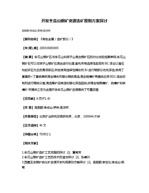 开发冬瓜山铜矿资源选矿原则方案探讨