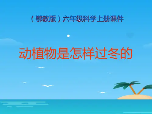 《动植物是怎样过冬的》四季中的变化PPT课件3[优秀课件资料]