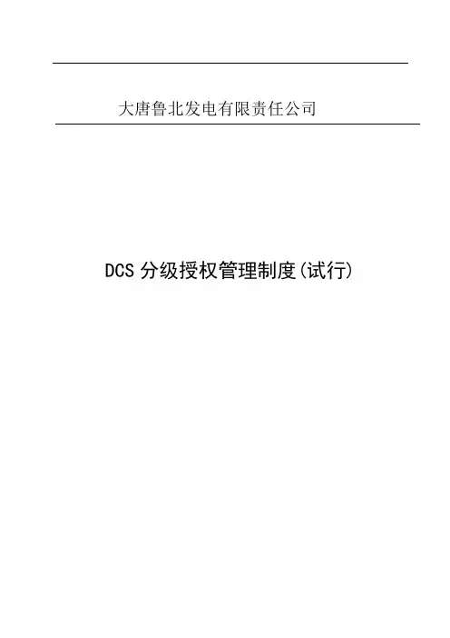 DCS分级授权管理制度(试行)1